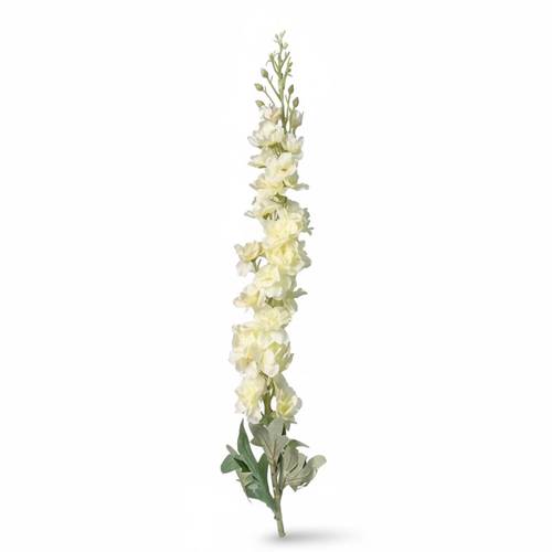 Delphinium branch - off-white color