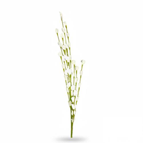 Rose branch - white