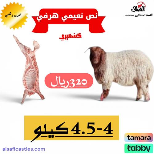 نص نعيمي كشميري هرفي 4-4.5 كيلو