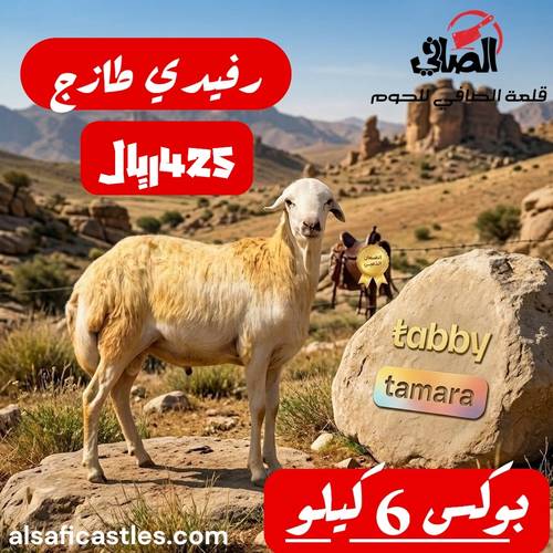 بوكس رفيدي 6 كيلو