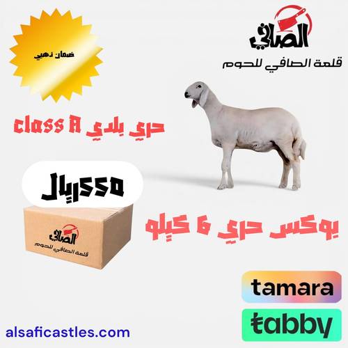 بوكس حري بلدي 6 كيلو