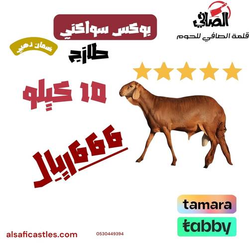 بوكس سواكني بلدي 10 كيلو