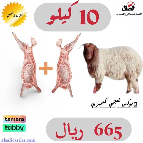 نعيمي كشميري لباني 10 كيلو