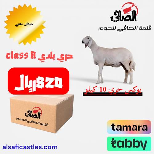 بوكس حري 10 كيلو
