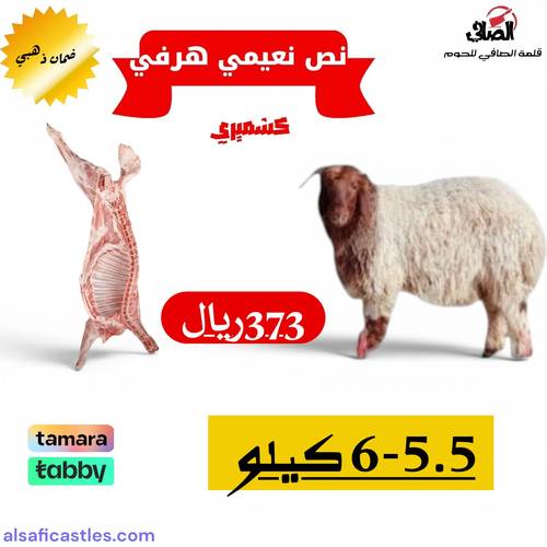 نص نعيمي كشميري هرفي 5.5-6 كيلو