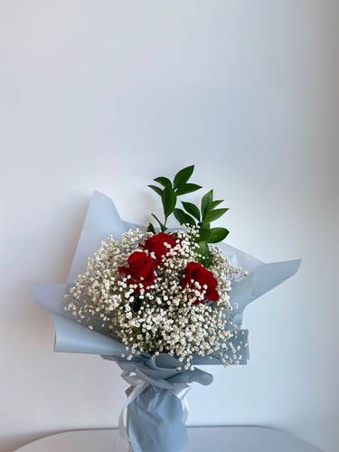 روح الاناقة  