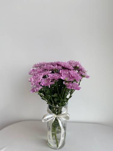زهرة الغموض الزجاجية  