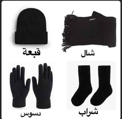 حقيبة شتوية