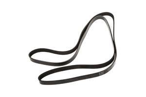 ENGINE BELT ASTRO VAN 1995-2005 6K956
