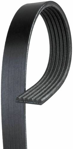 BELT FAN CAPRICE 1987-1988 5K433