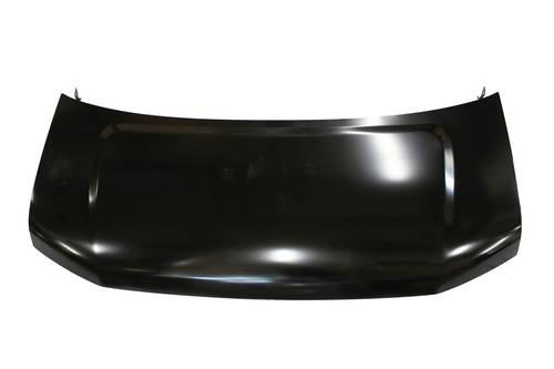 HOOD SAVANA 2003-2023 88944424