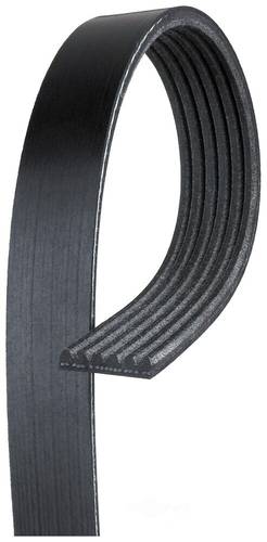 BELT ENGINE CAPRICE 2007-2015 