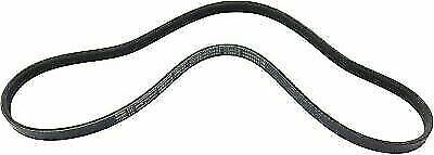 OEM NEW A/C Compressor Serpentine Belt Cadillac Chevrolet GMC Hummer 12576447