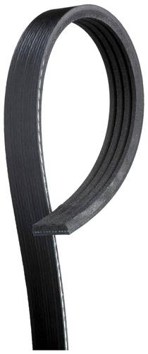 AC BELT CAPRICE V8 +2000