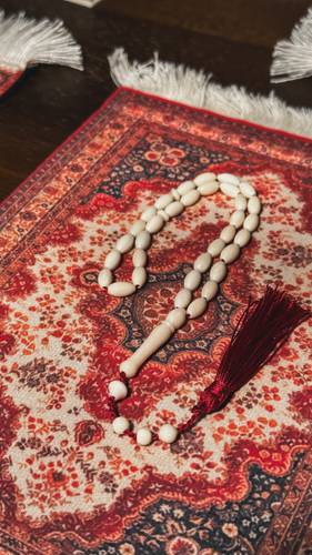 ناب الفيل (عاج)