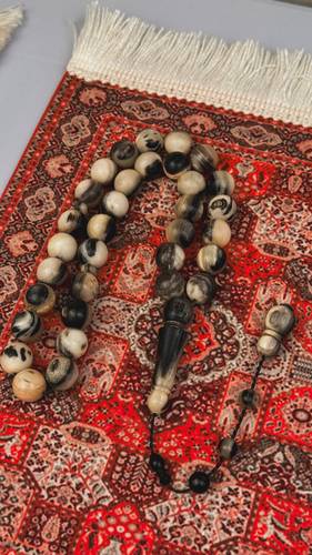 قرن جاموس