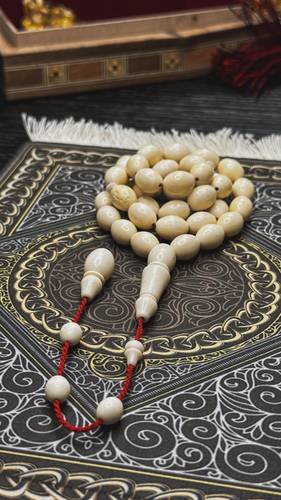 عظم جمل