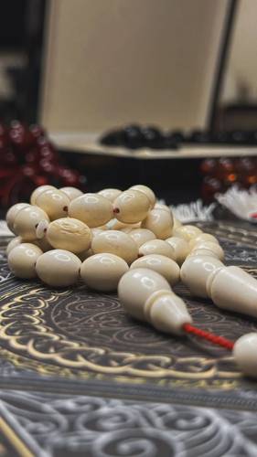 عظم جمل
