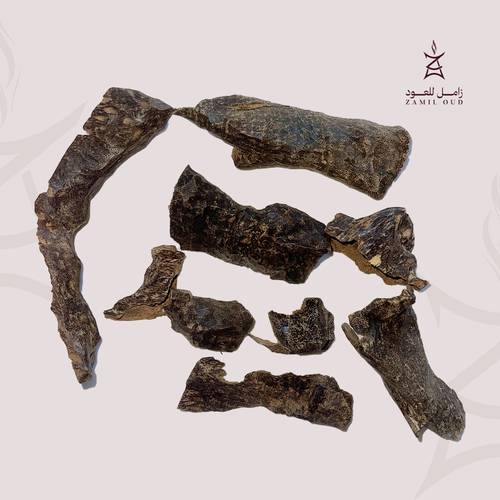 عود غابة هاتين