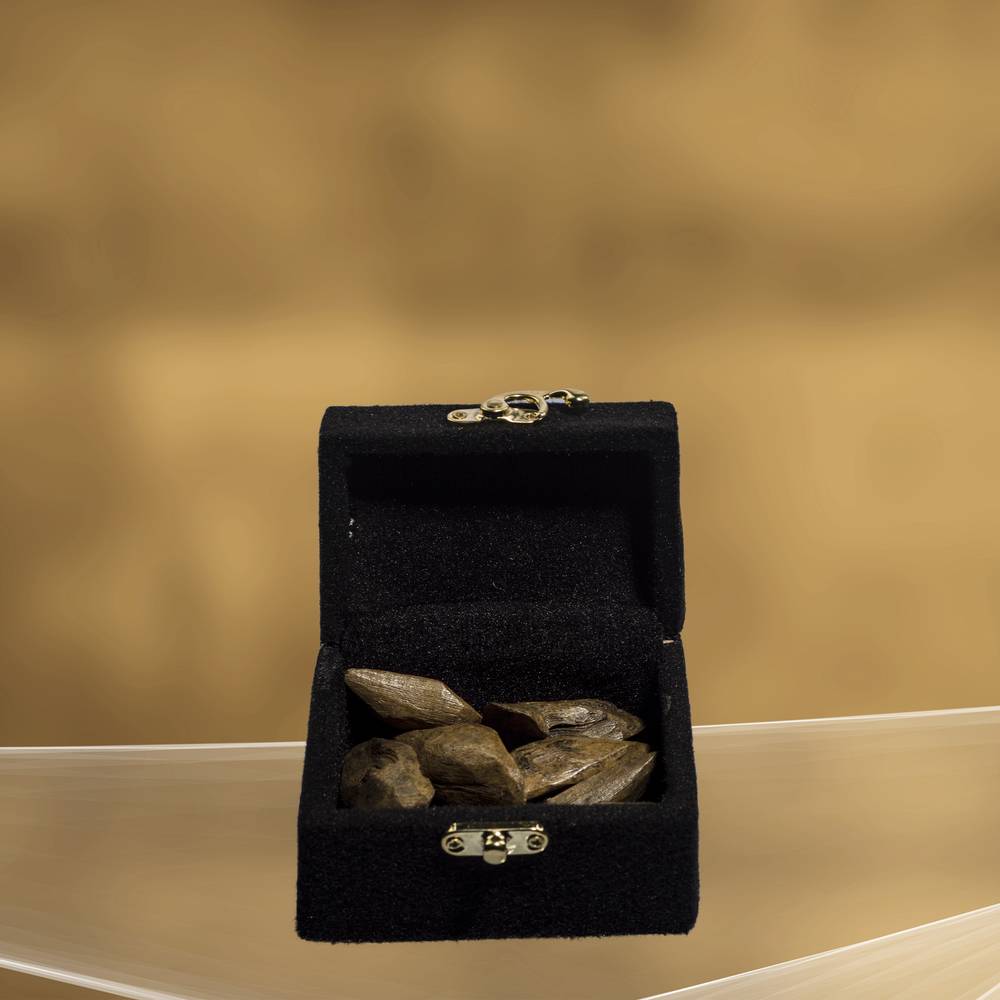 عود SR  الفاخر