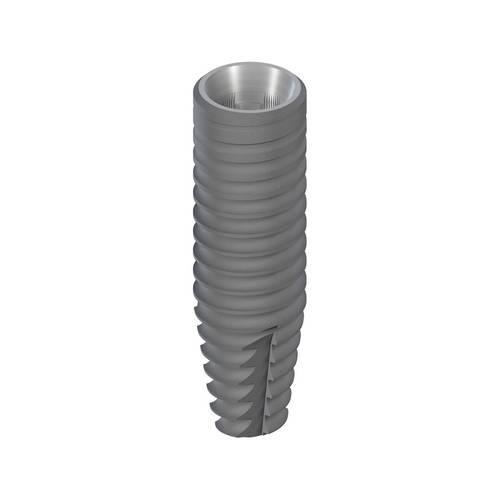 BLT Ø4.1mm RC, SLActive® 14mm, TiZr, NTP
