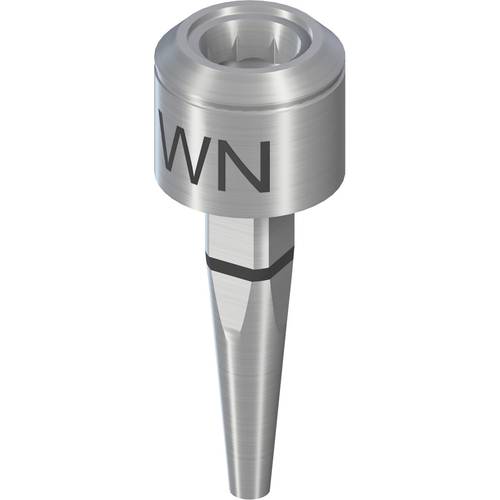 048.172:Repositionable Implant Analog WN