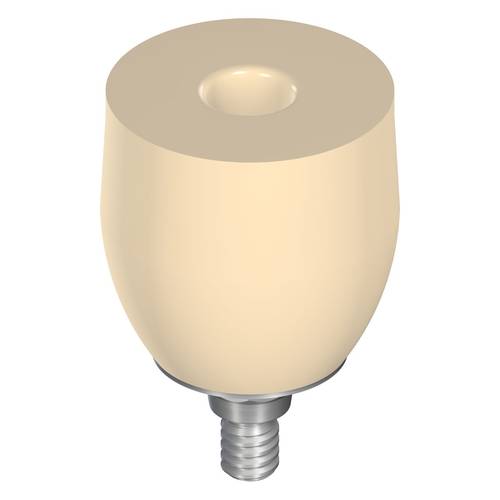 048.242:WN TEMPORARY ABUTMENT - D 10MM, H 10MM, VITA CAD-TEMP®