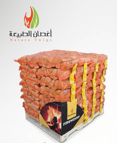 حطب البتولا ٦٤كيس