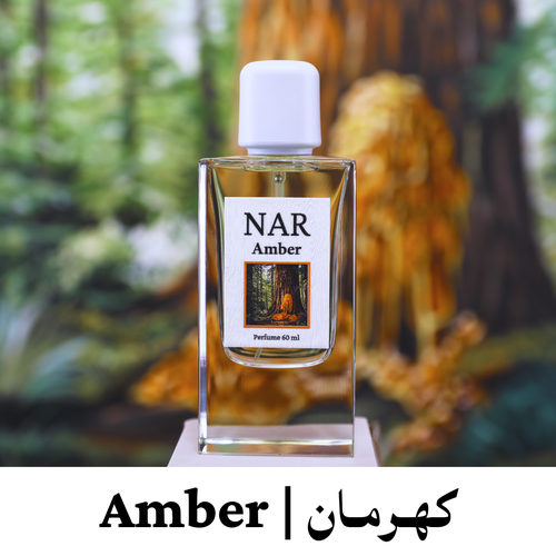 عطر كهرمان | Amber