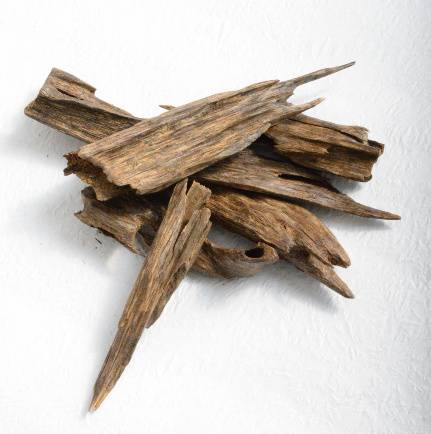 أوقية عود هندي ( آسام ) 