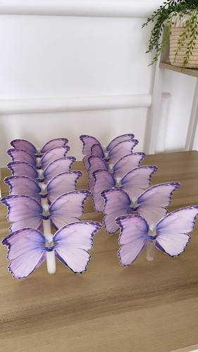 معطرات مع تغليف فراشة 🦋 ✨.