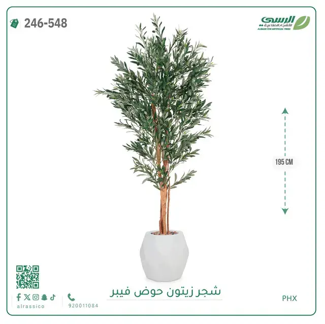  شجر زيتون صناعية ( ارتفاع 195 سم ) حوض فيبر 