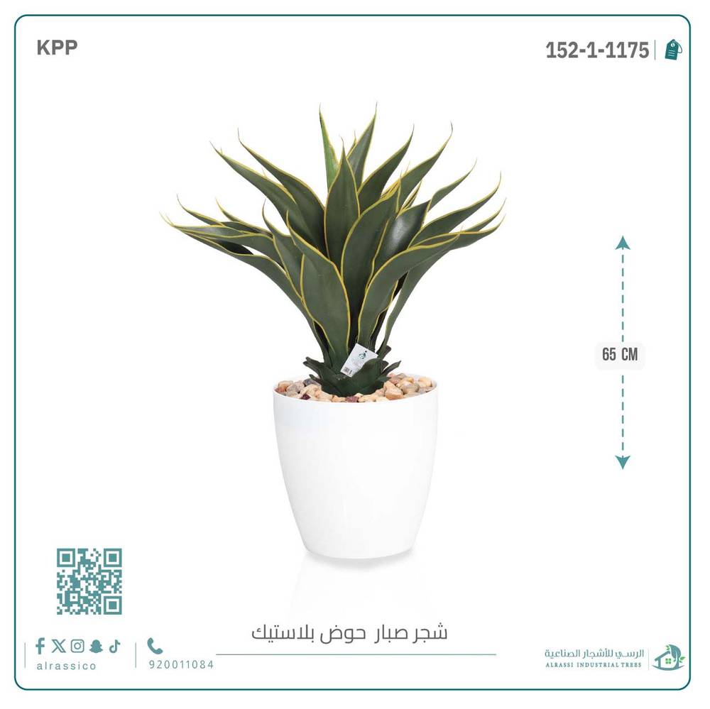  صبار ذيل الثعلب الصناعي بمركن بلاستيك اسطوانى  