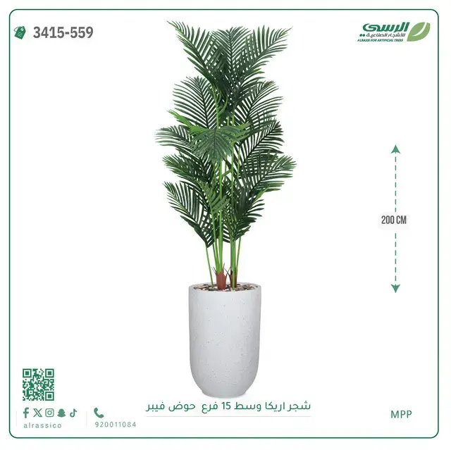  شجرة أريكا صناعية 15 فرع (ارتفاع 200 سم) حوض فيبر 