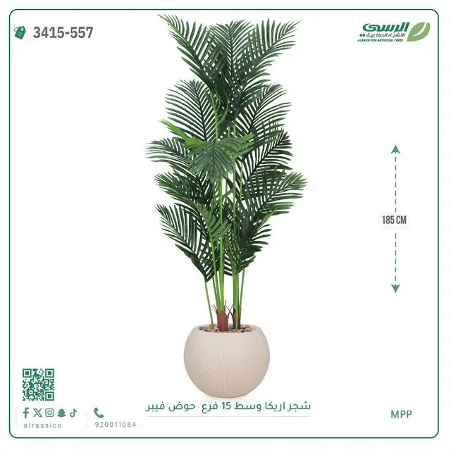  شجرة أريكا صناعية 15 فرع (ارتفاع 185 سم) حوض فيبر 