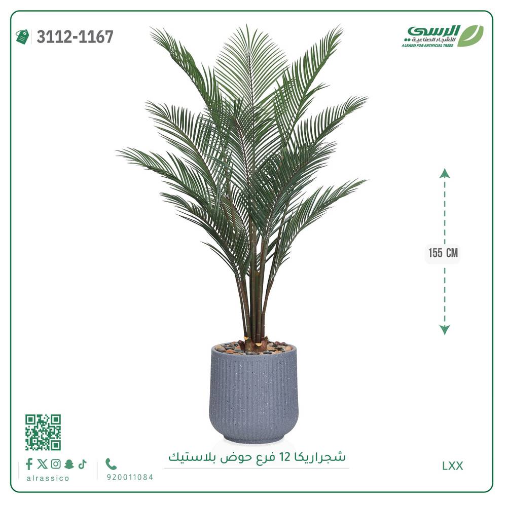  شجرة أريكا صناعية ( ارتفاع 155 سم ) حوض بلاستيك 