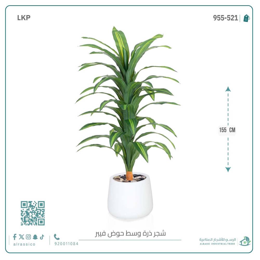  شجرة نبات الذرة (دراسينا) الاصطناعية كبيرة بمركن فيبر بيضاوى  