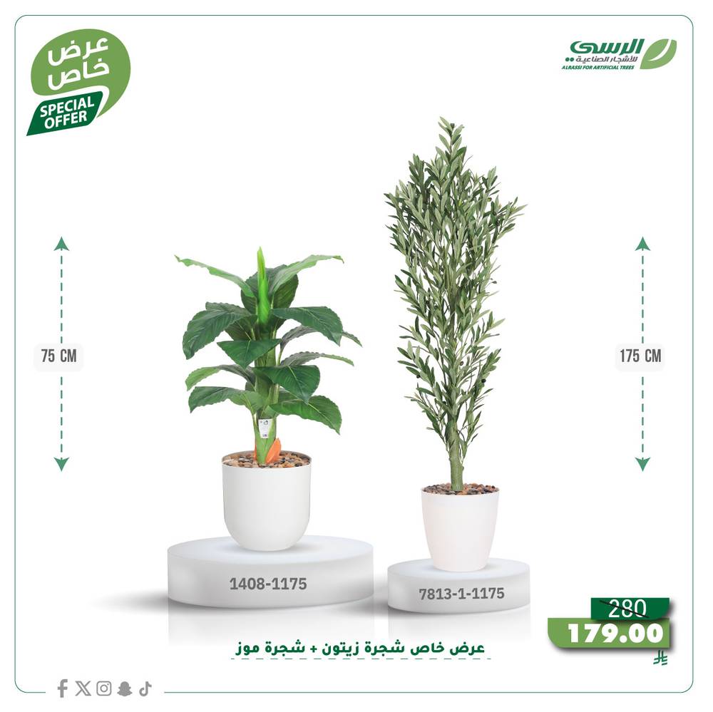  عرض شجرة زيتون صناعية ( ارتفاع 175 سم ) + شجرة ورق موز صناعية ( ارتفاع 75 سم ) حوض بلاستيك 