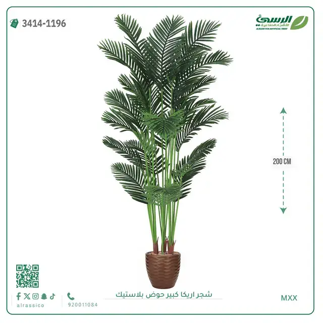  شجر أريكا صناعية ( ارتفاع 200 سم ) حوض بلاستك 