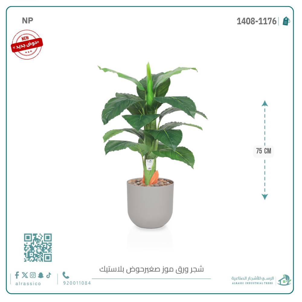  شجرة ورق موز صغير بمركن بلاستيك أسطواني 