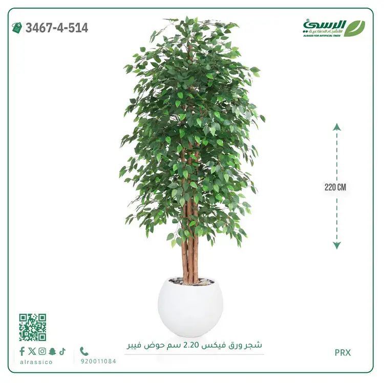  شجر فيكس صناعية (ارتفاع 220 سم) حوض فيبر 