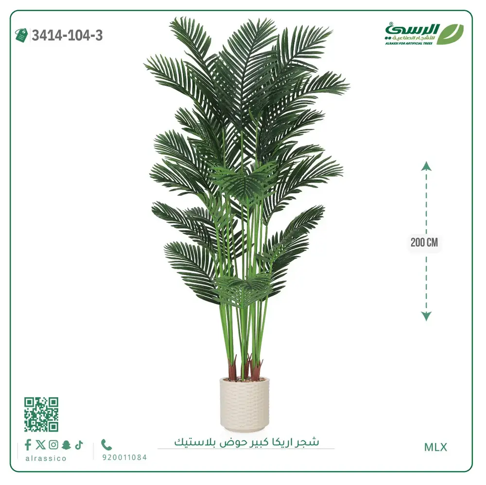  شجر أريكا صناعية ( ارتفاع 200 سم ) حوض بلاستك 