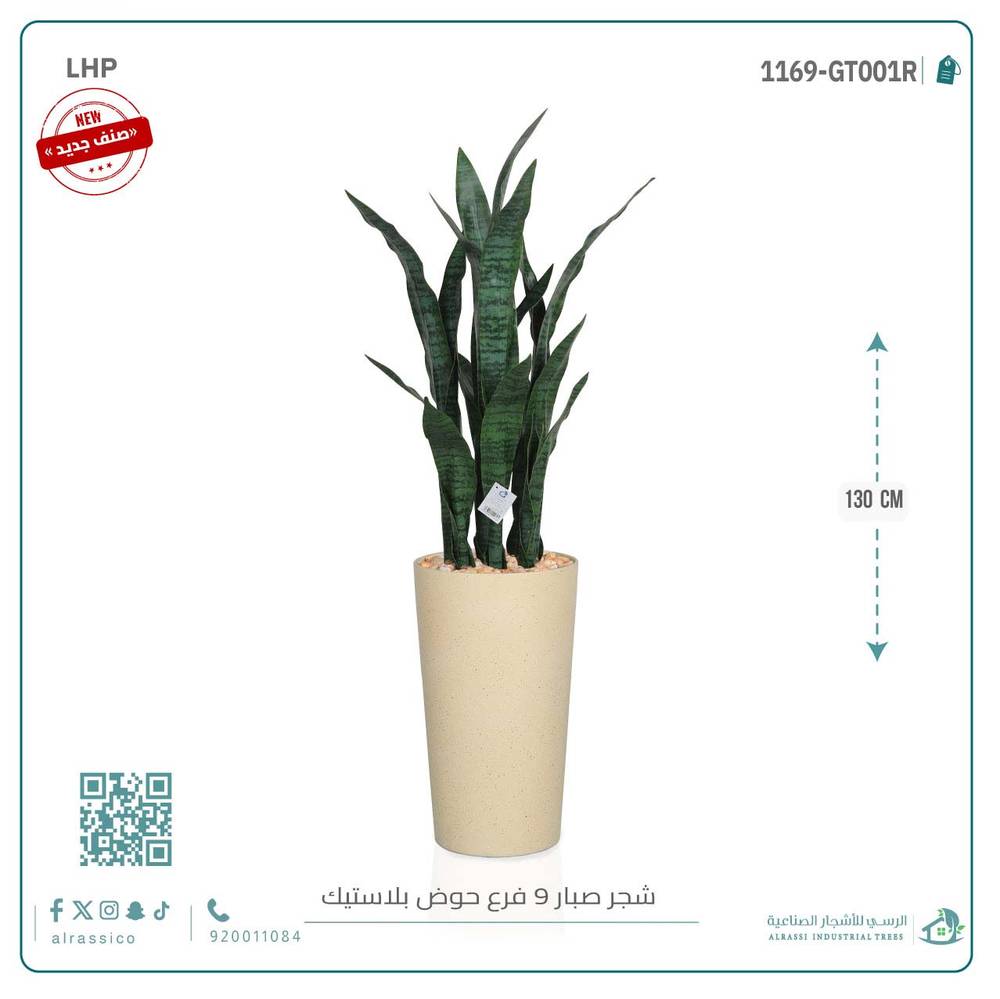 صبار جلد النمر أخضر ب9 فروع 