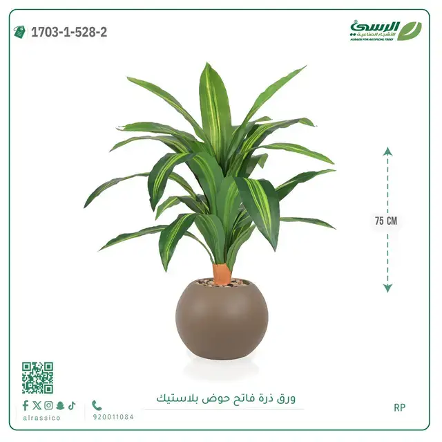  ورق ذرة صناعية (ارتفاع 75 سم) بحوض بلاستيك 