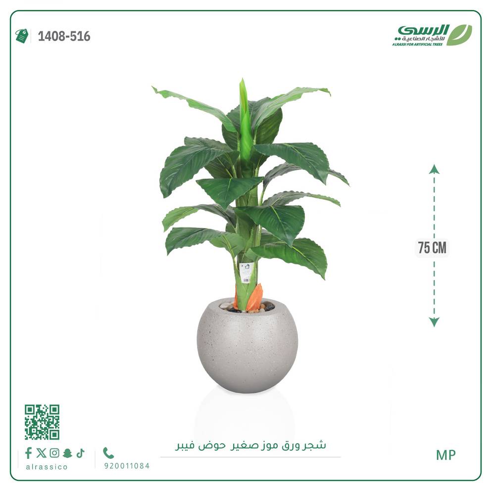   شجرة ورق موز صغير بمركن فيبر دائرى  