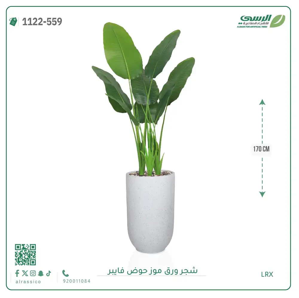  شجرة موز صناعية ( ارتفاع 170 سم ) حوض فيبر 