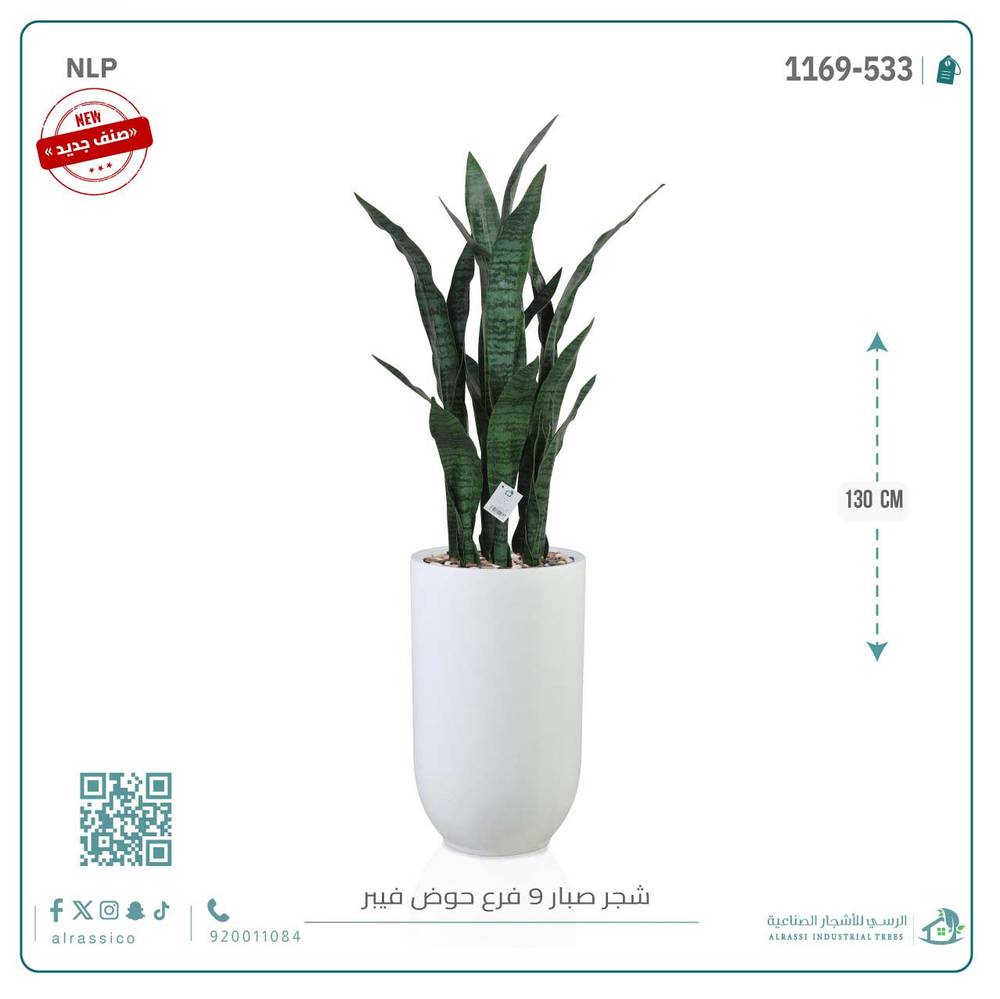  صبار جلد النمر الأخضر بحوض فيبر 