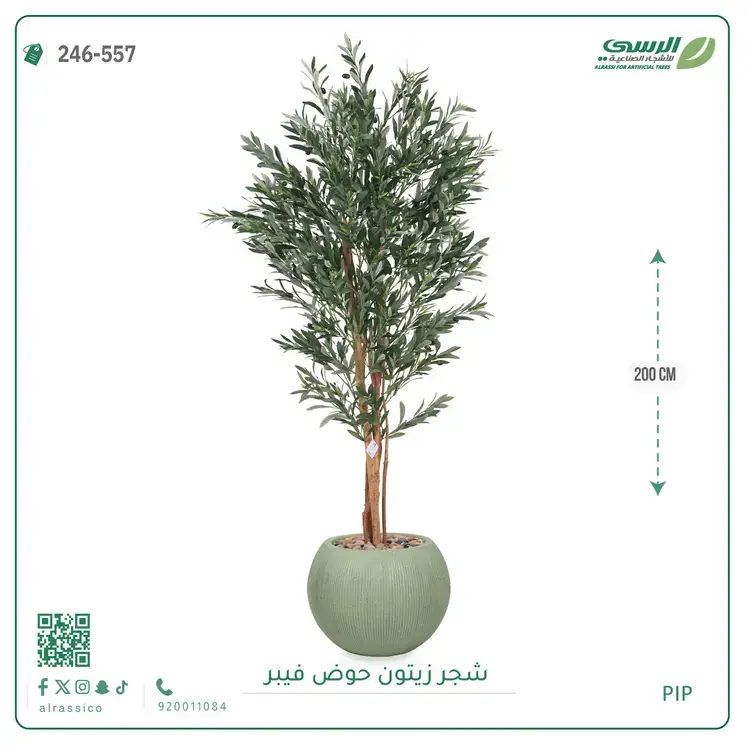  شجر زيتون صناعية ( ارتفاع 200 سم ) حوض فيبر 