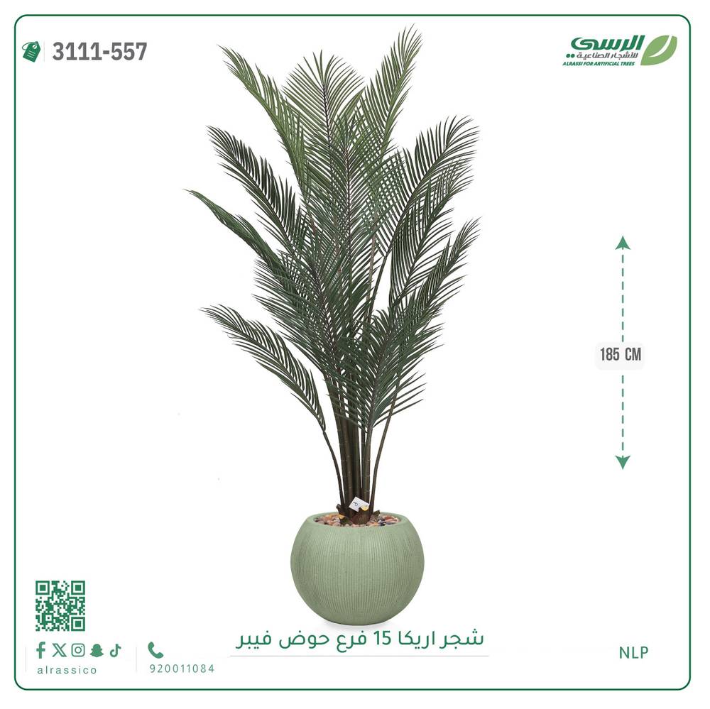  شجرة أريكا صناعية ( ارتفاع 185 سم ) حوض فيبر 