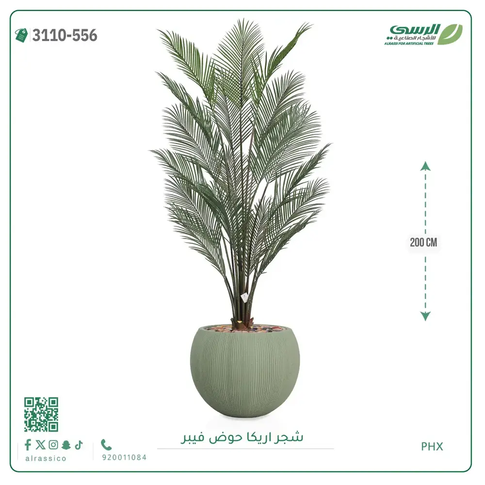  شجرة اريكا صناعية ( ارتفاع 200 سم ) حوض فيبر 
